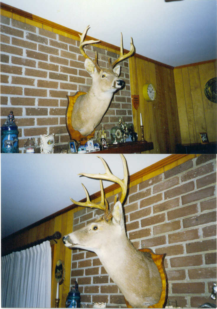 lowcountrybuck.jpg